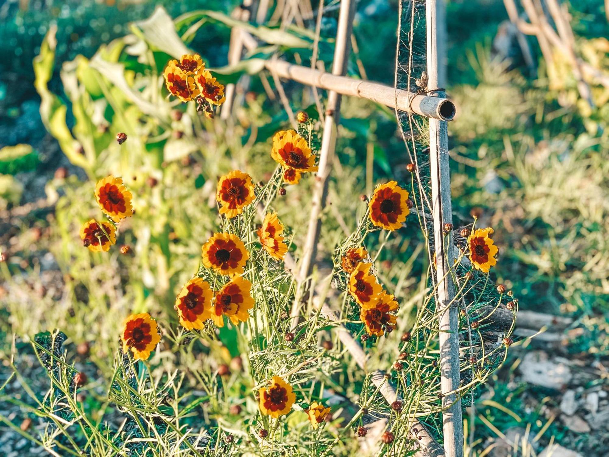 Stay At Pachamama Community Alcácer do Sal Szoba fotó